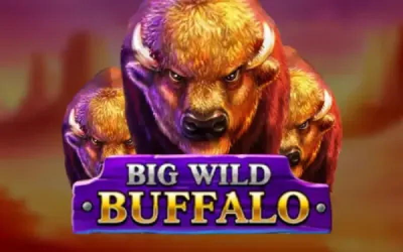 Big Wild Buffalo