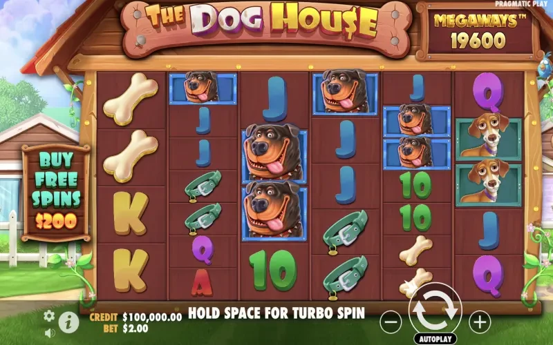 The Dog House Megaways Game